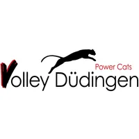 Home Club Logo